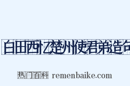 白田西忆楚州使君弟造句是什么意思的图片